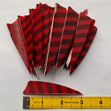 50PCS 3inch Striped Red Shield Fletches Arrow Feathers Fletching RW LW