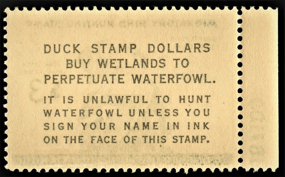 #RW26 1959 US Federal Duck Stamp $3 Migratory Bird Hunting MNH OG CENTERED #82 - Image 2 of 2