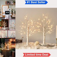 Lighted Birch Tree 2 ft 24 LED Warm White Timer Battery USB Set of 2 Tabletop