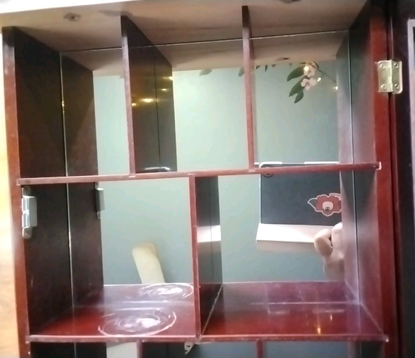 Vintage Victorian Cherry Wood and Glass Wall Display Case Curio Cabinet Mirrored