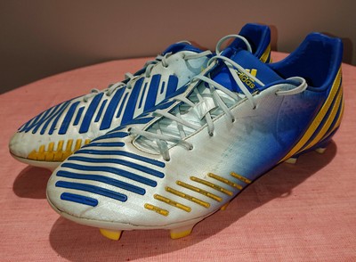 predator lethal zone