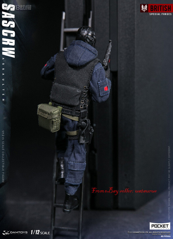 Perfect Damtoys 1/12 Pes001 Pocket Elite Series Sas Crw Assaulter