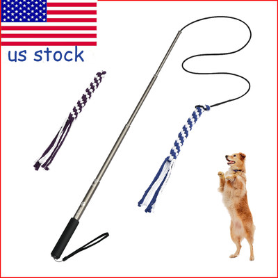 dog teaser toy