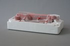 Bild 6 von 9