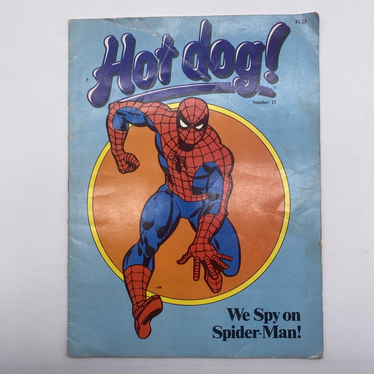 Spider-Man スパイダーマン　木製ボード　ヴィンテージ Hotdog #15 1982 Scholastic Spiderman Comic Book Missing Panda