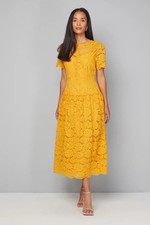 Wallis Mustard Fit & Flare Dress Womens Occasion Dresses