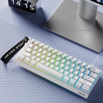 EWEADN F61 60 Wired Membrane Keyboard, White, RGB, PBT Keycaps, Mac,Win,Lanyard