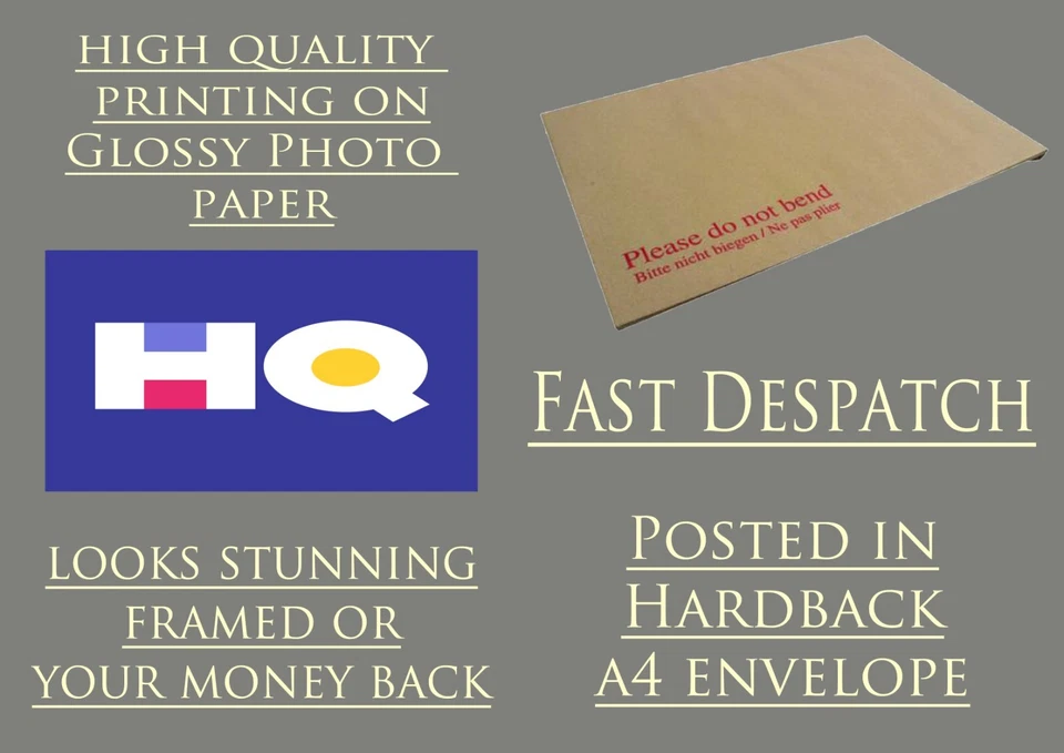 Ayrton Senna Signed Photo Print Poster Autographed Formula One Memorabilia - Image 2 of 2