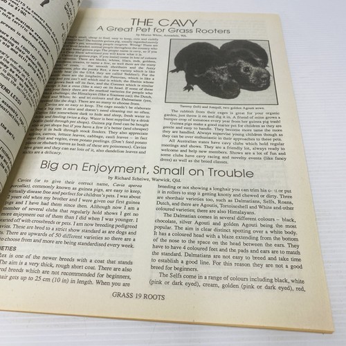 VINTAGE - GRASS ROOTS MAGAZINE FAMILY BOOK - 1981 - Issue No. 74. - Picture 6 of 6