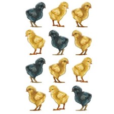 Baby Chicks Vinyl Sticker Sheet Of 12 Vintage Style Laptop Bumper