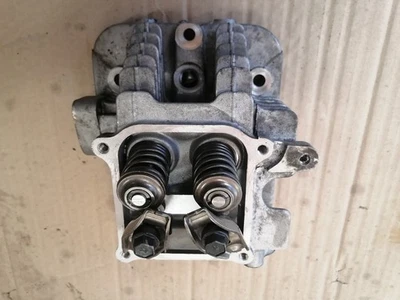 Culasse moteur (ORIGINE) TECUMSEH ENDURO XL/C 13.0 CV - Photo 1/2