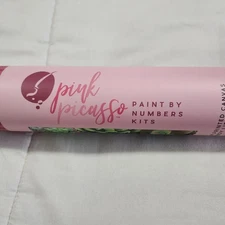 Pink Picasso Paint by Numbers  Succulents Paint, Brushes Not Included Preownedd