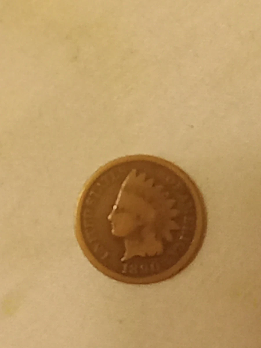 Bronze 1885 Year Indian Head Small Cents (1859-1909) for sale | eBay