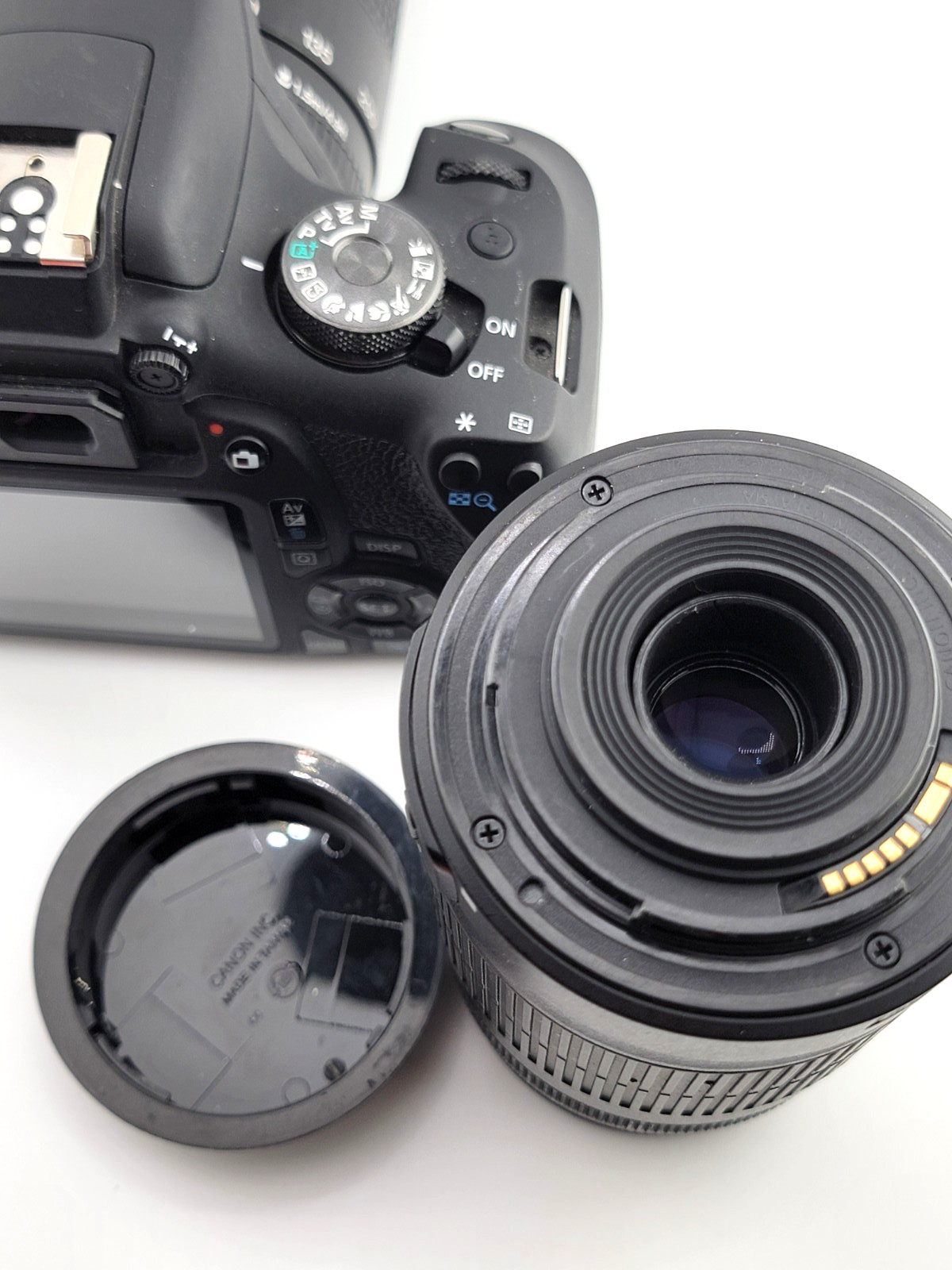 Canon EOS Rebel T7 DSLR Camera with 55-250mm & 75-300mm Lenses