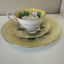 Tuscan Fine English Bone China Hand Painted Tea Cup, Saucer, And Plate