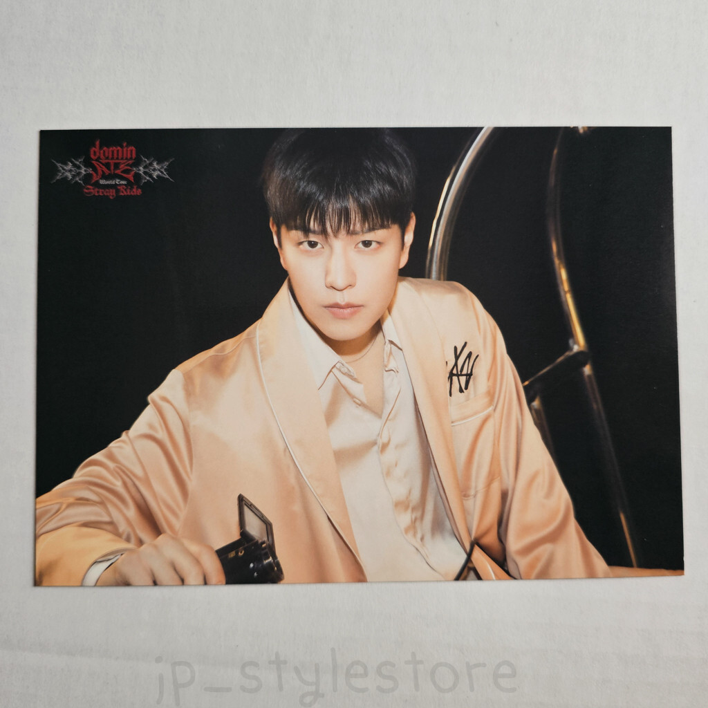 Stray Kids Seungmin RANDOM TRADING CARD World Tour dominATE Stray Kids Seungmin RANDOM TRADING CARD World Tour dominATE