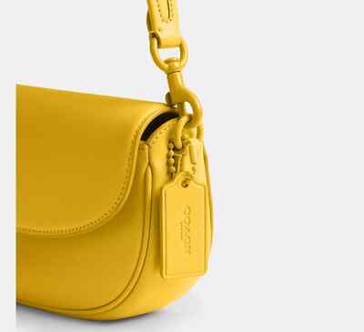 NWT Coach Emmy Saddle Bag 23 CR666 | eBay