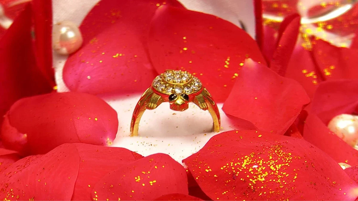 MERU Tortoise Ring Brings Good... - Mauritius online Market | Facebook