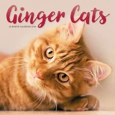 Carousel Calendars,  Ginger Cats 2026 Wall Calendar, 12'' X 12'', 16-Month Calen