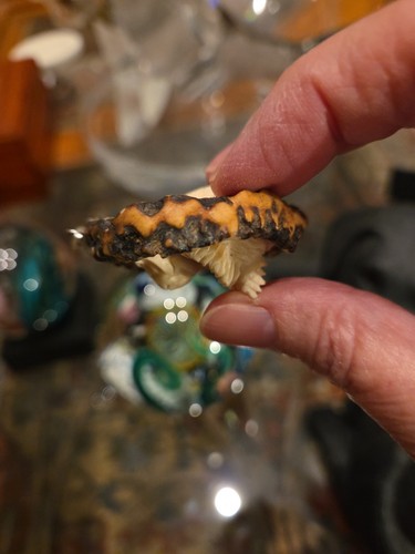 ORANGATANG From BALI...Sitting In Tree Pendant. One Of A Kind - Picture 9 of 12