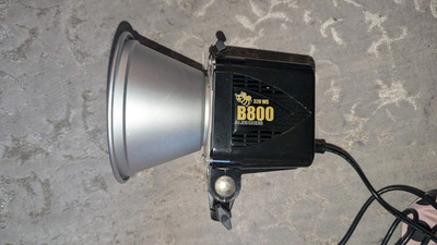 Alien Bees B800 320 WS Flash Unit