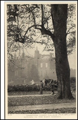 HAMPTON COURT PALACE ~1910/20 Park Baum Parc Tree AK, alte Postkarte