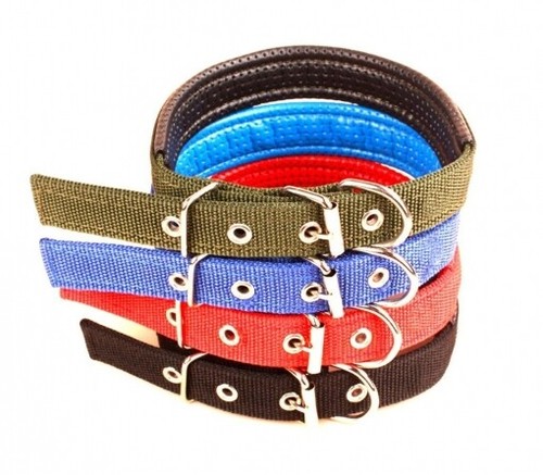 Collar Para Perros En Diferentes Colores (38 X 2 Cm) - Imagen 2 de 3