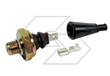 Interrupteur Commande Témoin Huile NEWGARDENSTORE Pour Moteur LOMBARDINI SLANZI