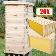 4Tier Langstroth Beehive Box Beekeeping with 20pcs Super & Brood Bee Hive Frames