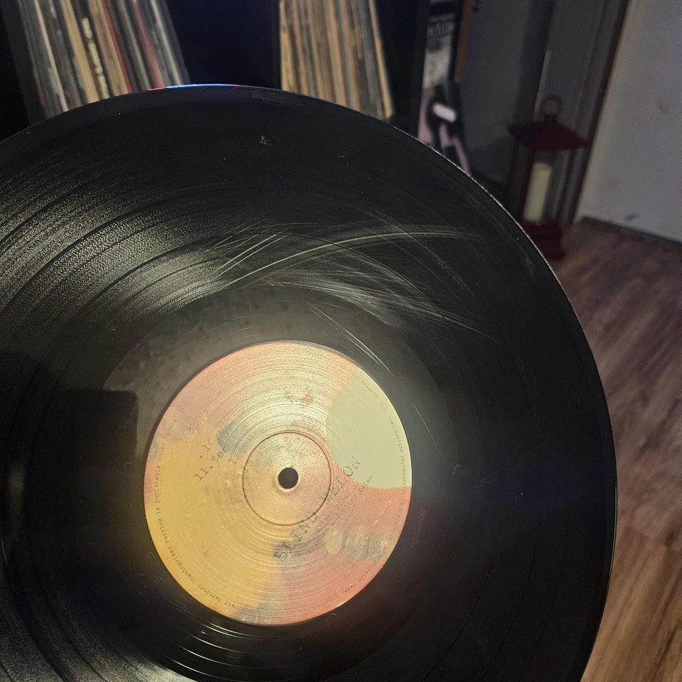 BLIND MELON- SELF TITLED VINYL LP  *SEE DESCRIPTION BEFORE SUBMITTING OFFER* Foto 3 de 3