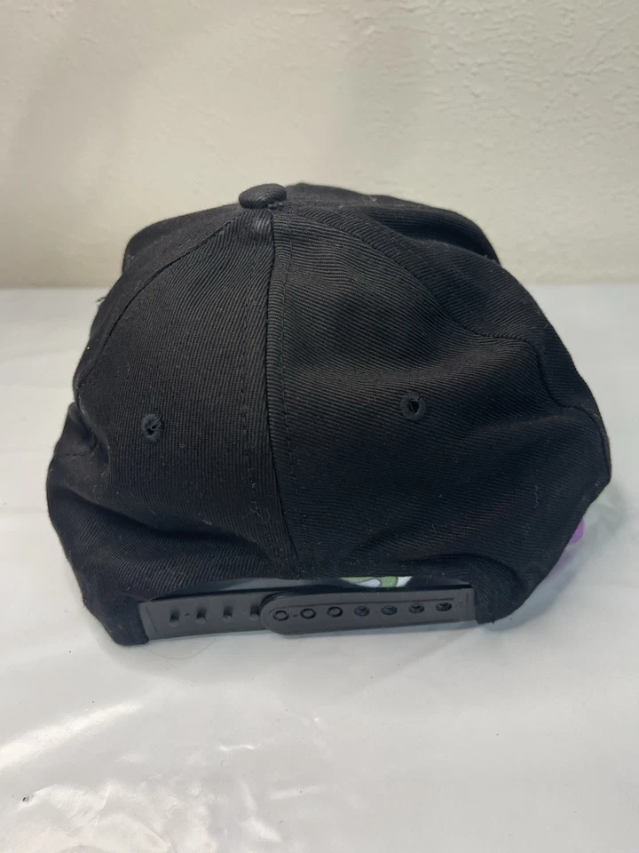 De colección Charlie Daniels Banda Calavera Violín Logo Sombrero Snapback Negro Country Rock Foto 2 de 4