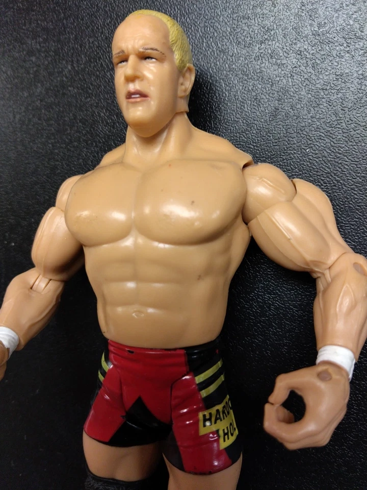 Figura de acción de lucha libre WWE Jakks Pacific Hardcore Holly 2003 luchador WWF ECW  Foto 2 de 4