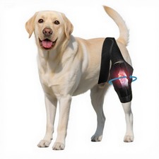 Dog Knee Brace for Torn Acl Hind Leg - Adjustable Stabilizing Support for Ccl...