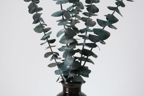 Dried Eucalyptus Stems for Shower 17" Real Leaves Branches for Vase Filler, Home - Picture 4 of 12