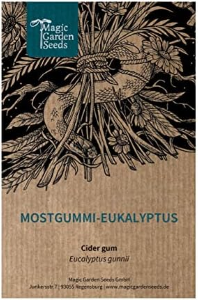 Eucalyptus gunnii (Eucalyptus gunnii) circa 10 semi di questo esotico alberello