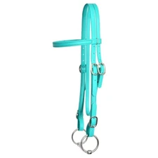 HORSE SIZE- READY MADE - Teal WESTERN BRIDLE and REINS Made from BETA BIOTHANE