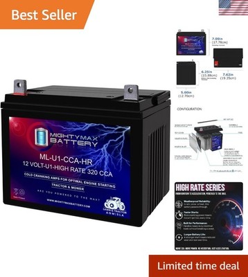 High-Performance 12V 320 CCA SLA AGM Battery - Reliable Power for Garden Tools