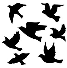 Really Great Stencils, Perched Flying Birds 1 Stencil, 6x6", In Flight, Sitting