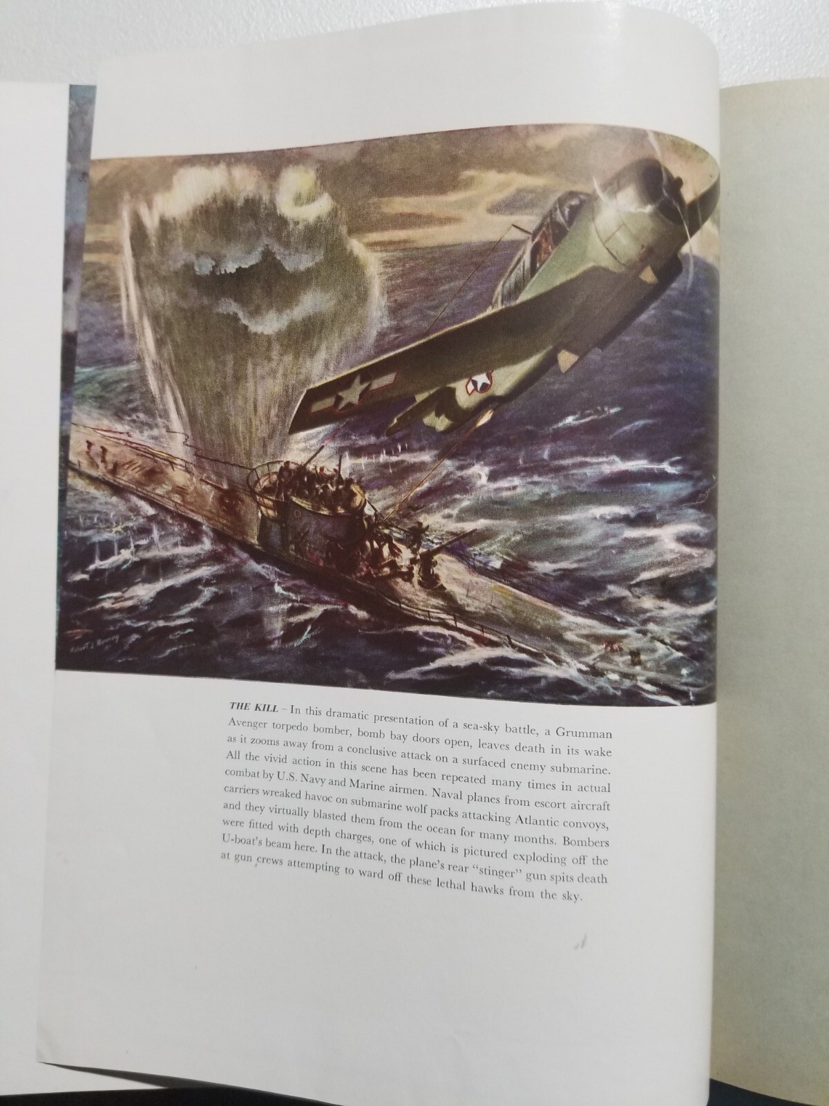Picture 20 of 22