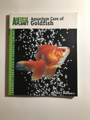 How to Take Care of a Goldfish: Essential Tips