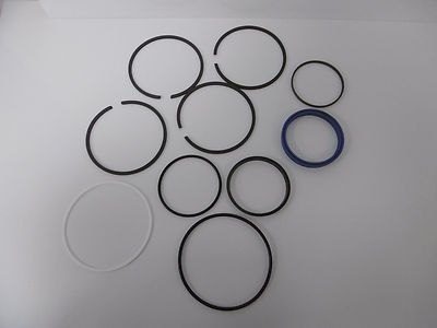 Hänchen Dichtungssatz passend für KolbenØ 160mm, KolbenstangenØ 110mm Hub 1920mm