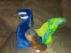 Bild 8 von 9