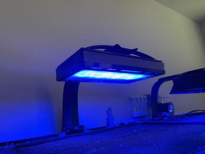 Ecotech Radion XR30 G5/G6 Diffuser