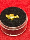California Natural Gold Nugget  1.7  Grams in a Gem jar w/lid — photo 2