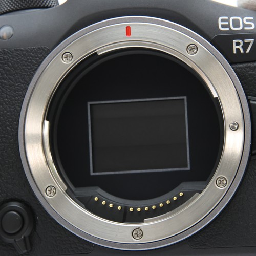 Canon EOS R7 + RF-S 18-150 IS STM Lens Kit #96 - 第 9/12 張圖片