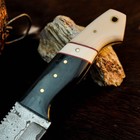 8.9" Damascus Camping EDC  Knife Full Tang Resin Fix Handle Blade Leather Sheath — photo 3