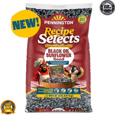 Select Black Oil Sunflower Seed Wild Bird Dry Feed Nutritional 40 Lbs Bag New