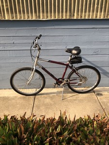 raleigh venture 7 speed