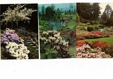 Australia Postcards   RHODODENDRON GARDEN, OLINDA   Vic   (7 cards)