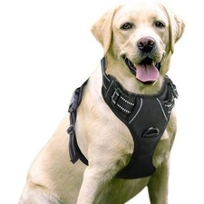 Adjustable Reflective Dog Harness No Pull Soft Padded Control Pet Vest S-XL